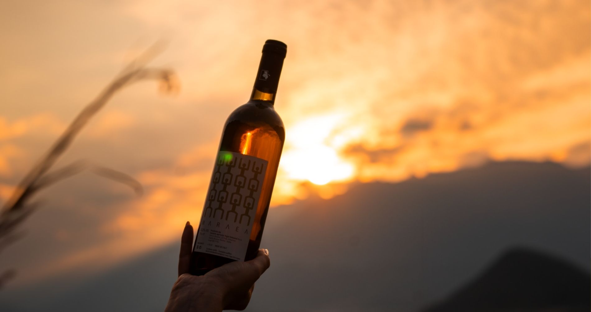 Togni Rebaioli, se il vino di montagna ha la sua stella